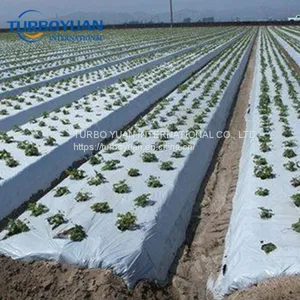 Biodegradable Reflective Silver/black pe Plastic Mulch Film for Japan thumbnail-4