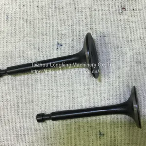 Agriculture Machine Parts 168F Intake Valve and Exhaust Valve for Gx160/engine Valve/valve thumbnail-1