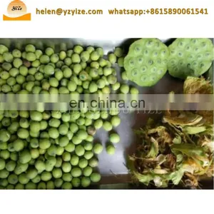 Automatic Lotus Seed Screening Grading Processing Line Lotus Seed Nut Separator Peeler Machine thumbnail-7