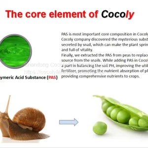 Cocoly Granular Water Soluble Fertilizer+TE thumbnail-2