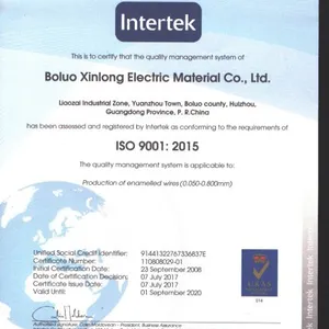 ISO9001英文2015年版