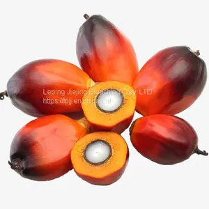 Jiejing Free Sample Edible Oil Decolorization Australian 206 Bleaching Earth Activated Bentonite Clay Price for Palm thumbnail-5