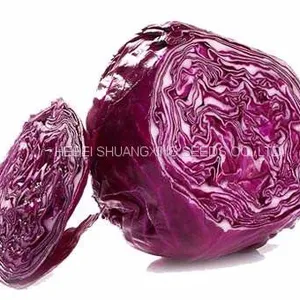 Heat Resistant f1 Hybrid Cabbage Seeds thumbnail-1
