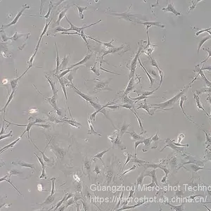 Inverted Biological Microscope With Phase Contrast MI52-N thumbnail-2