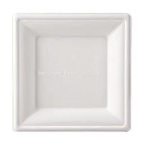 6” Bagasse Eco-Friendly Disposable Biodegradable Plates Sugarcane Bagasse Square Plates Oval Plates (500/ Case) thumbnail-1