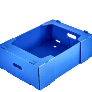 Custom Stackable Corrugated Plastic Fruit Boxes Made by PP thumbnail-1
