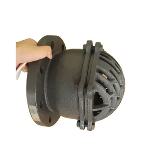 DN250 Cast Iron Ductile Iron Foot Valve Flanged Noise Elimination Pn10/16 Lift Check Valve for Pump Suction Pipe System thumbnail-3