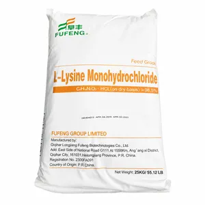 Wuhan Gongchen L-Lysine HCL Monohydrochloride 98.5% thumbnail-2