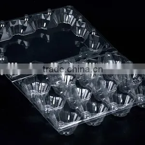 Wholesale Plastic Egg Carton Packaging thumbnail-6