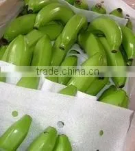 BANANAS thumbnail-3