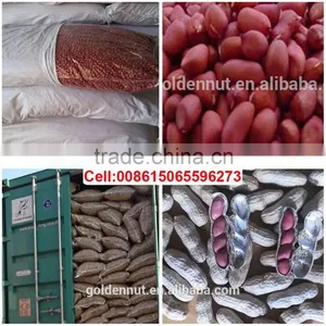 Chinese Red Skin Peanuts 50/60 Shandong FOR MACEDONIA /ALBANIA/NETHERLAND/TUNISIA thumbnail-2