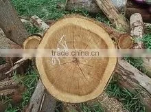 Acacia Wood Sawn Timber thumbnail-1