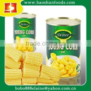 Canned Baby Corn Cut In Brine thumbnail-1