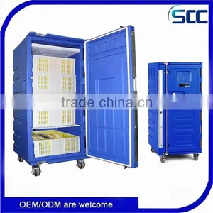 Rotomolded Plastic Insulated Cabinet for Frozen Food Storage and Transport thumbnail-4