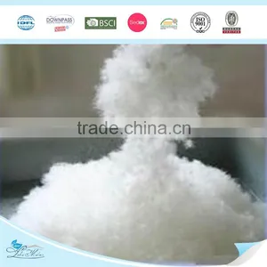 Mattress Toppers thumbnail-4