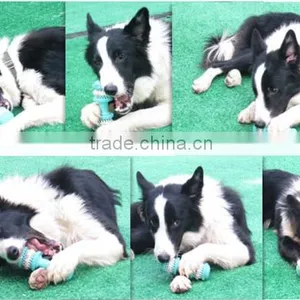 Rubber Pet Teeth Cleaning Toy/resistance to Bite to Tartar Brush Pet Teeth Toy thumbnail-5