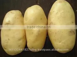 Indian Fresh Yellow , White Potatoes thumbnail-3