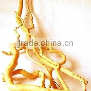 Eurycoma Longifolia Jack thumbnail-1