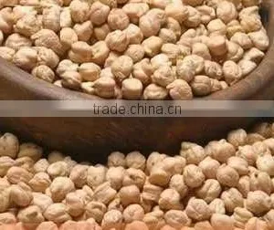 High Quality Chick Pea thumbnail-1