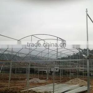 Economic Tunnel Green House thumbnail-1
