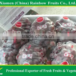 Fresh Red Sweet Seeded Grape Fruit Export From China thumbnail-5