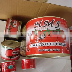 Pure Tomato Paste thumbnail-1