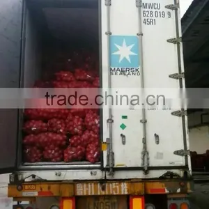 Fresh Yellow/Red Onion Supplier/Producer/Farmer thumbnail-1