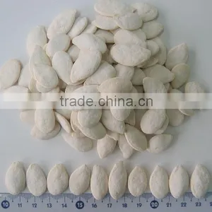 Popular Products Chinese Pumpkin Seeds thumbnail-1