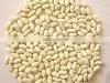Peanuts in Shelled thumbnail-5