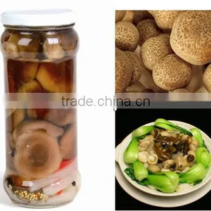Plastic Bag Mushroom for Sale China Canned Shiitake Specification Shiitake Mushroom thumbnail-4