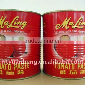 70G-4500G China Hot Sell Canned Tomato Paste Factory Gino Tomato Paste thumbnail-4