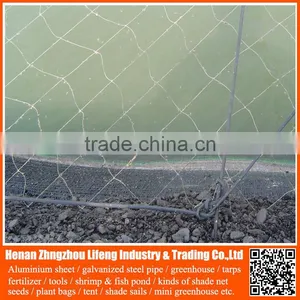 Chinese Factory Directly Supply Knitted Economy Anti Bird Netting , Cheap Plastic Hdpe / pe Anti Bird Net thumbnail-1