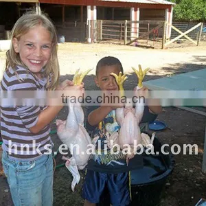 JX Automatic Chicken Plucker Poultry Plucker Chicken Depilator thumbnail-1