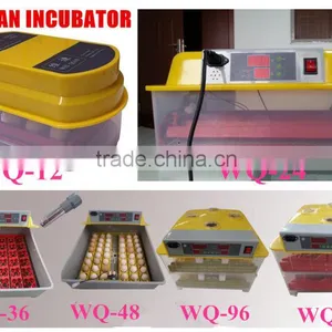 Best Price Mini Egg Incubator for Family Used Mini Egg Incubator 144 Eggs on Sale thumbnail-1