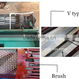 Neweek Washing Function Green Walnut Skin Sheller Machine thumbnail-3