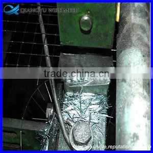 Welded Wire Mesh 6" x 6"/ Pvc Coating Welded Wire Mesh Fence / pe Coating thumbnail-4