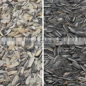 China Manufacturer Price Agriculture Color Sorter/color Sorting Machine for Sunflower Seeds thumbnail-3