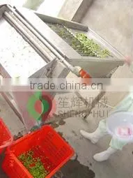 High Quality and Low Price Green Pea Peeling Machine thumbnail-1
