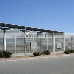 Multi Span Greenhouse With Polycarbonate Board Covering(PC Greenhouse) thumbnail-3