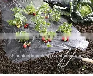 Plastic Garden Film for Fruit Planting thumbnail-1