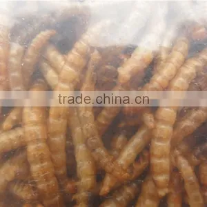 Pet Food Factory Birds Food Meal Worm thumbnail-4