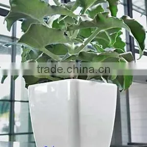 Clay Made Ceramic Flower Pot thumbnail-1
