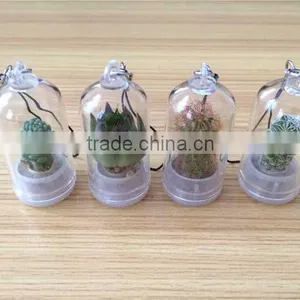 Wholesale Factory Cheap Glass Potted Meaty Cactus Plant Keychain, Super Mini Personal Gift Decorative Keychain Plant Design thumbnail-6