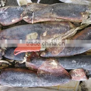 Wholesale Snack Foods Giant Squid thumbnail-1