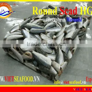 FROZEN ROUND SCAD HGT thumbnail-6