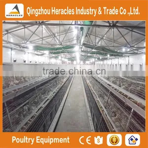 Trade Assurance Layer Chicken Cag-- H Type Cage Chicken Equipment thumbnail-1