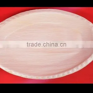 Biodegradable Tableware thumbnail-6