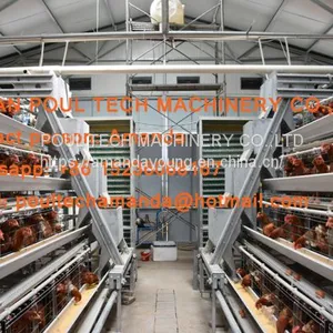 South Africa Chicken Farming Hot Galvanized Cage A Type Battery Laying Egg Chicken Cage & Chicken Coop & Hen Cage With 120 Birds thumbnail-1