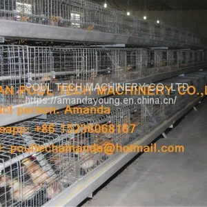 Tanzania Poultry Farm Chicken Shed A Frame Automatic Pullet Cage & Small Chicken Cage Equipment With Drinking & Feeding System thumbnail-2