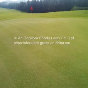 China Hot Sale Dorelom Durable 15mm Artificial Putting Green Turf Grass for Golf thumbnail-4